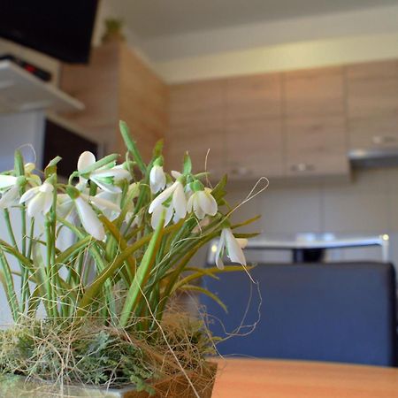 Apartments Martina Бибинє Екстер'єр фото